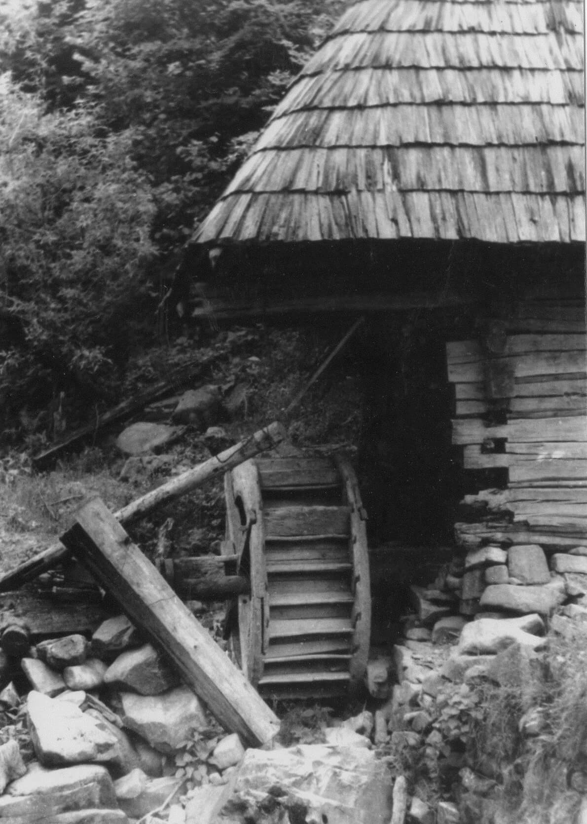 Чар старих фотографій... Старий млин, неподалік від м. Хуст