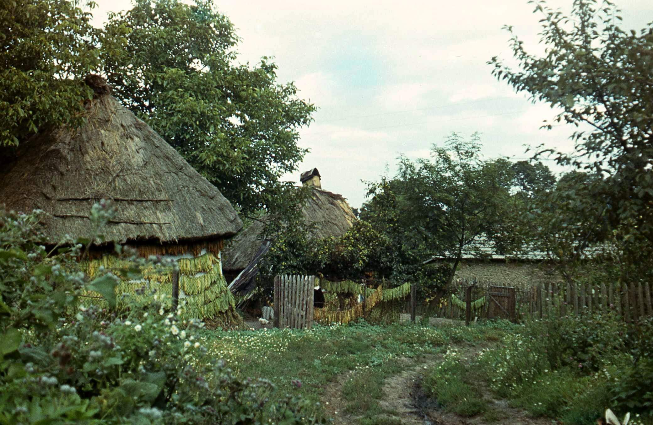 Тернопільщина, Борщівський р-н